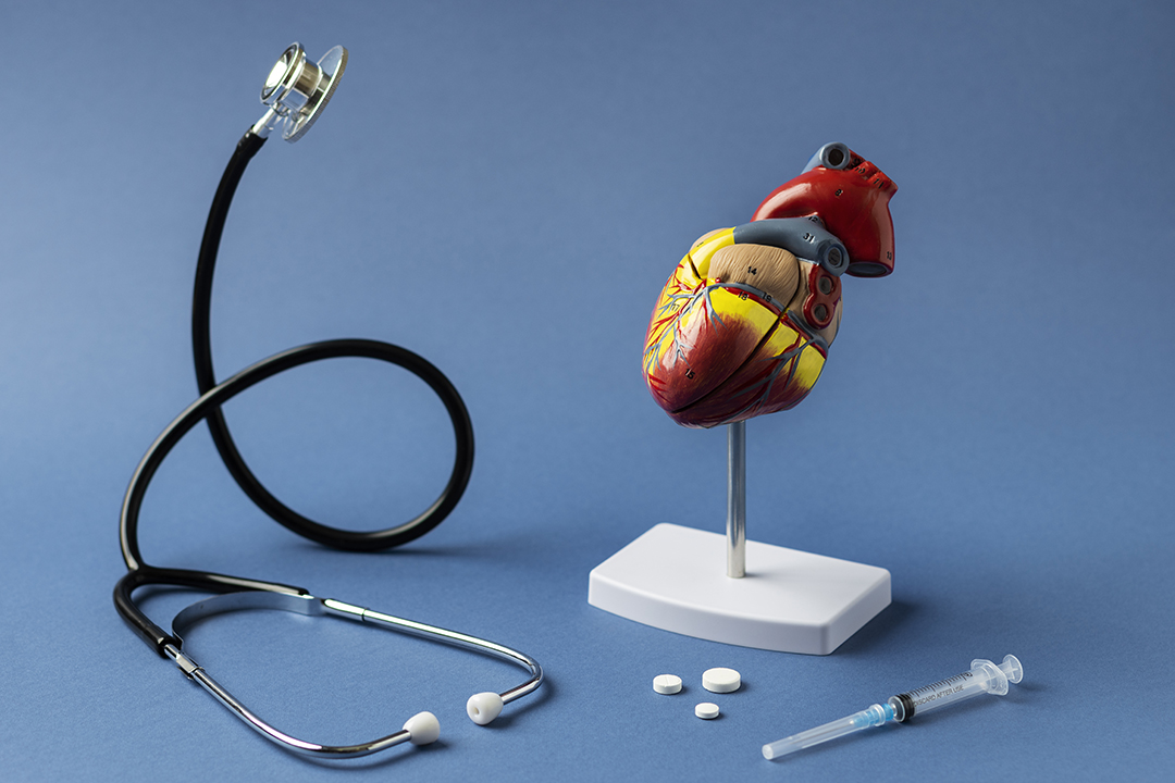 anatomic-heart